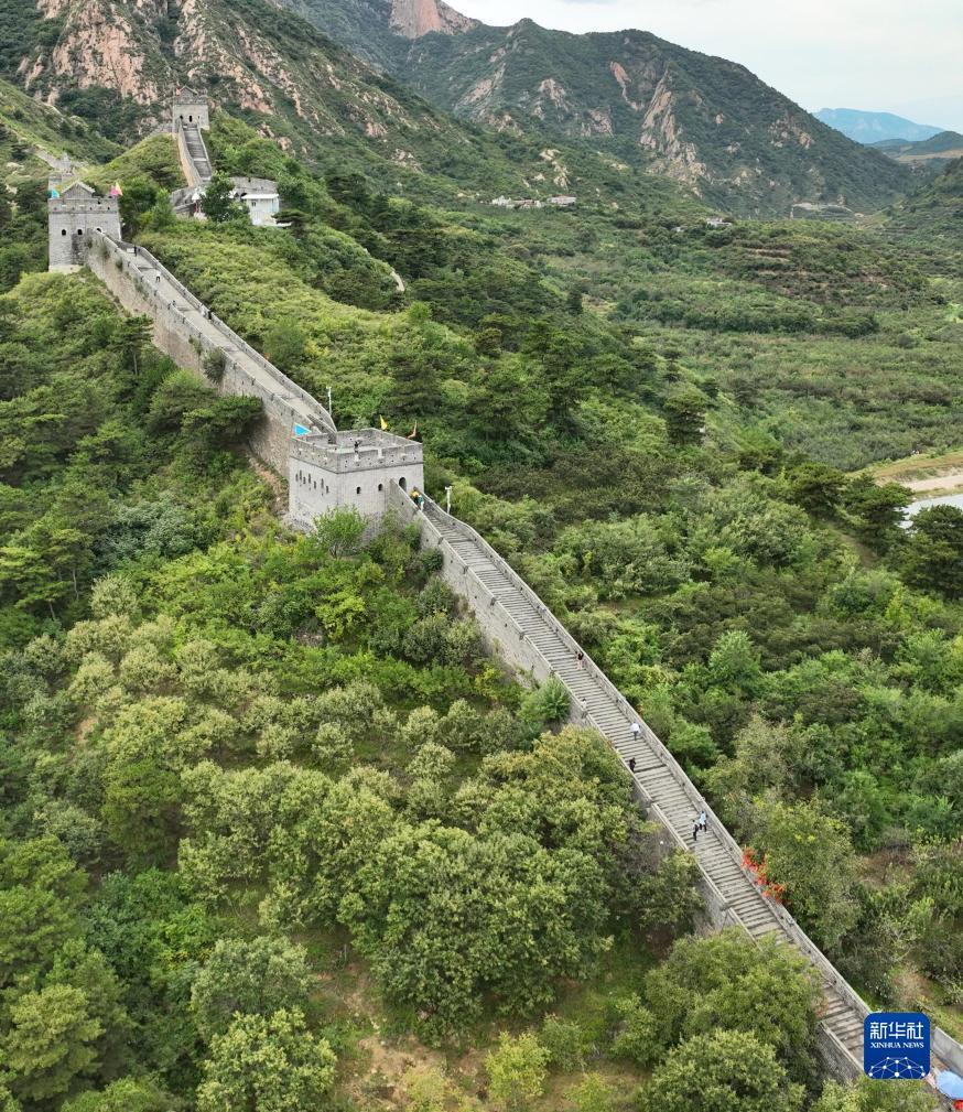 大发官网注册